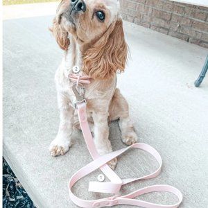 Lucy & Co. PVC Leash, Collar and Poop Bag SET - pink color
